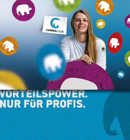 Vorteilspower nur für Profis ...