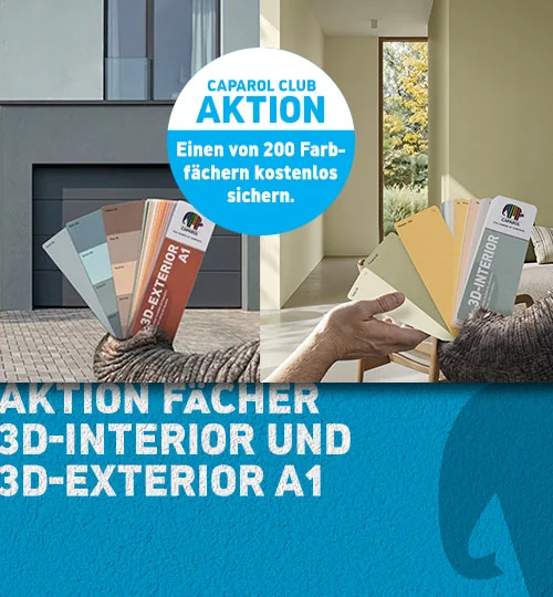 Aktion Fächer 3D-INTERIIOR und 3D-EXTERIOR A1
